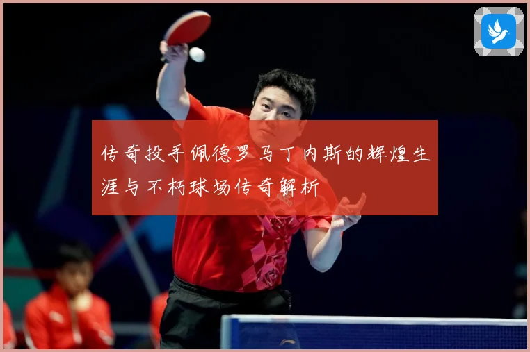 传奇投手佩德罗马丁内斯的辉煌生涯与不朽球场传奇解析